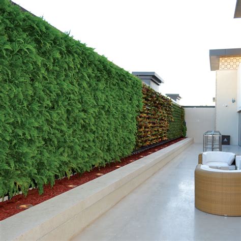 artificial vertical garden green wall.